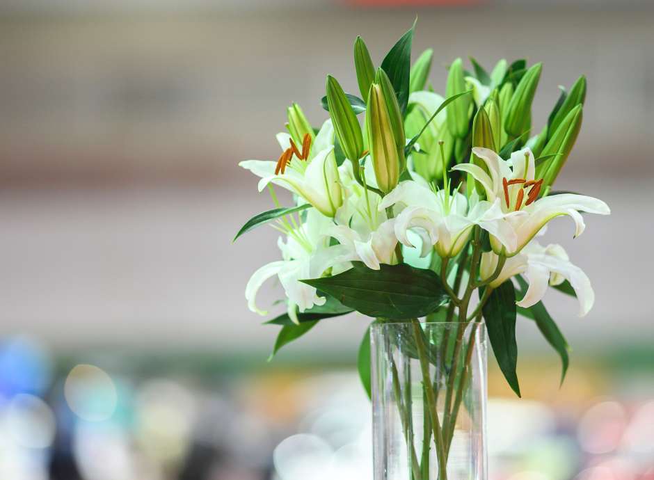 white lilies used a decorations for a wake at the park hotel