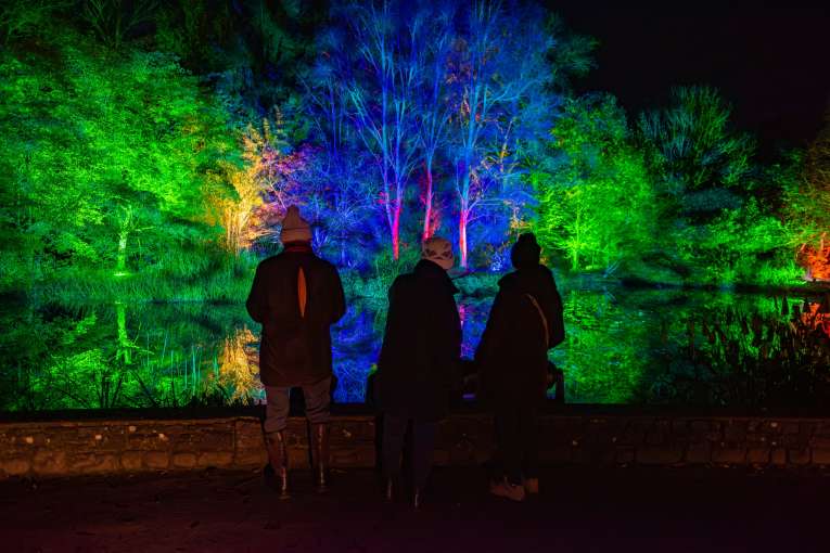 RHS Rosemoor Glow