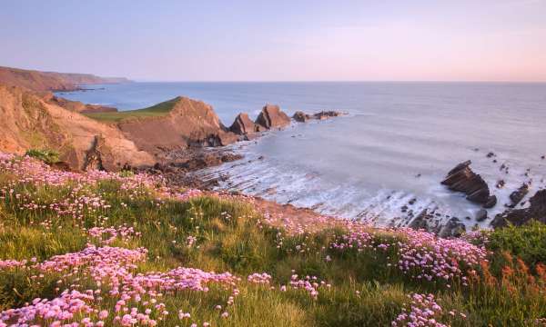 Coastline at Hartland Quay North Devon