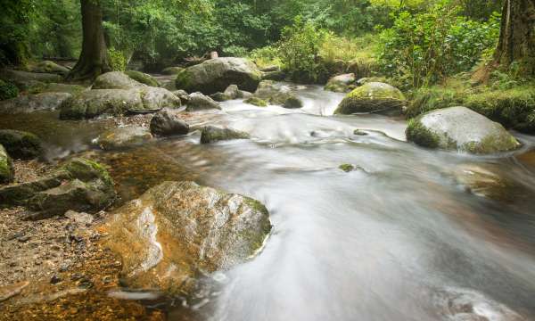 Becky Falls