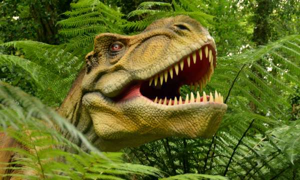 Combe Martin Dinosaur Park