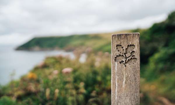 National Trust wooden sign on coast path