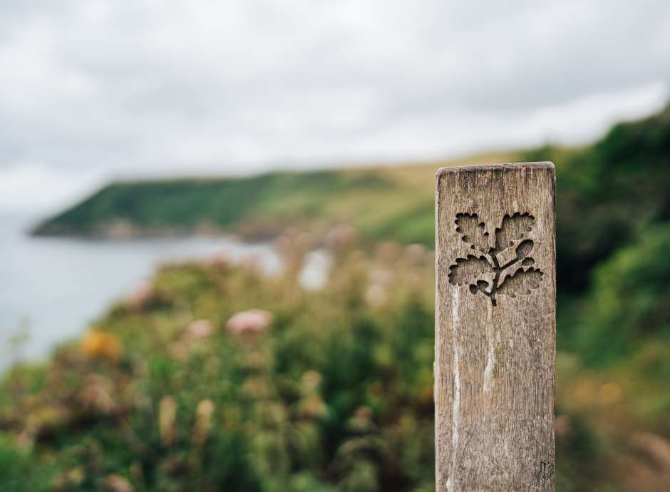 National Trust wooden sign on coast path