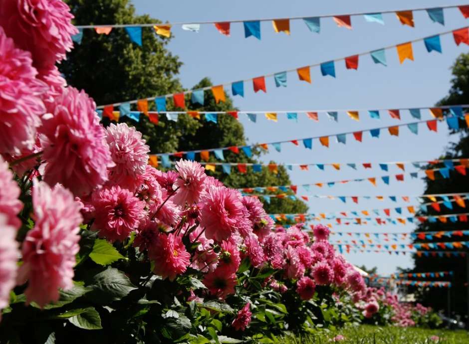 RHS Rosemoor Garden Festival