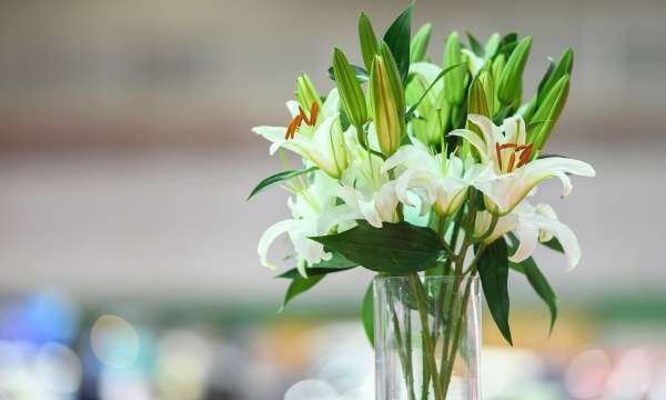 white lilies used a decorations for a wake at the park hotel