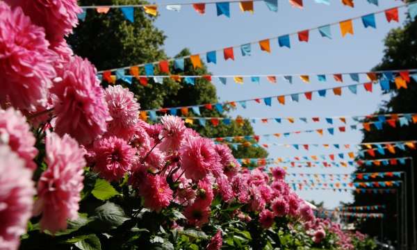 RHS Rosemoor Garden Festival
